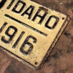 SIN1142