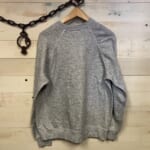 clsh076