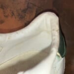clsho008
